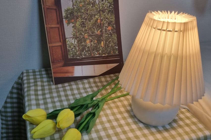 🌳계대룸룸🌸