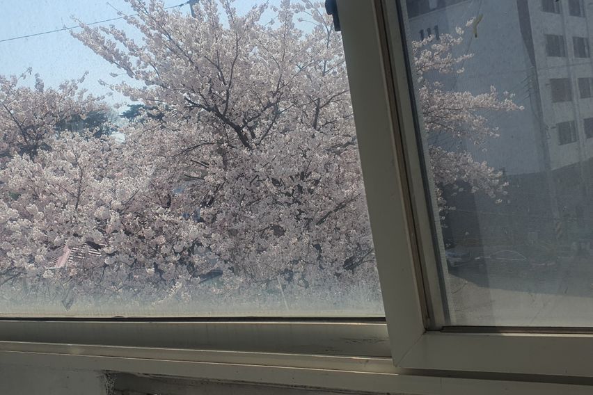 단기임대포항독채저렴달방