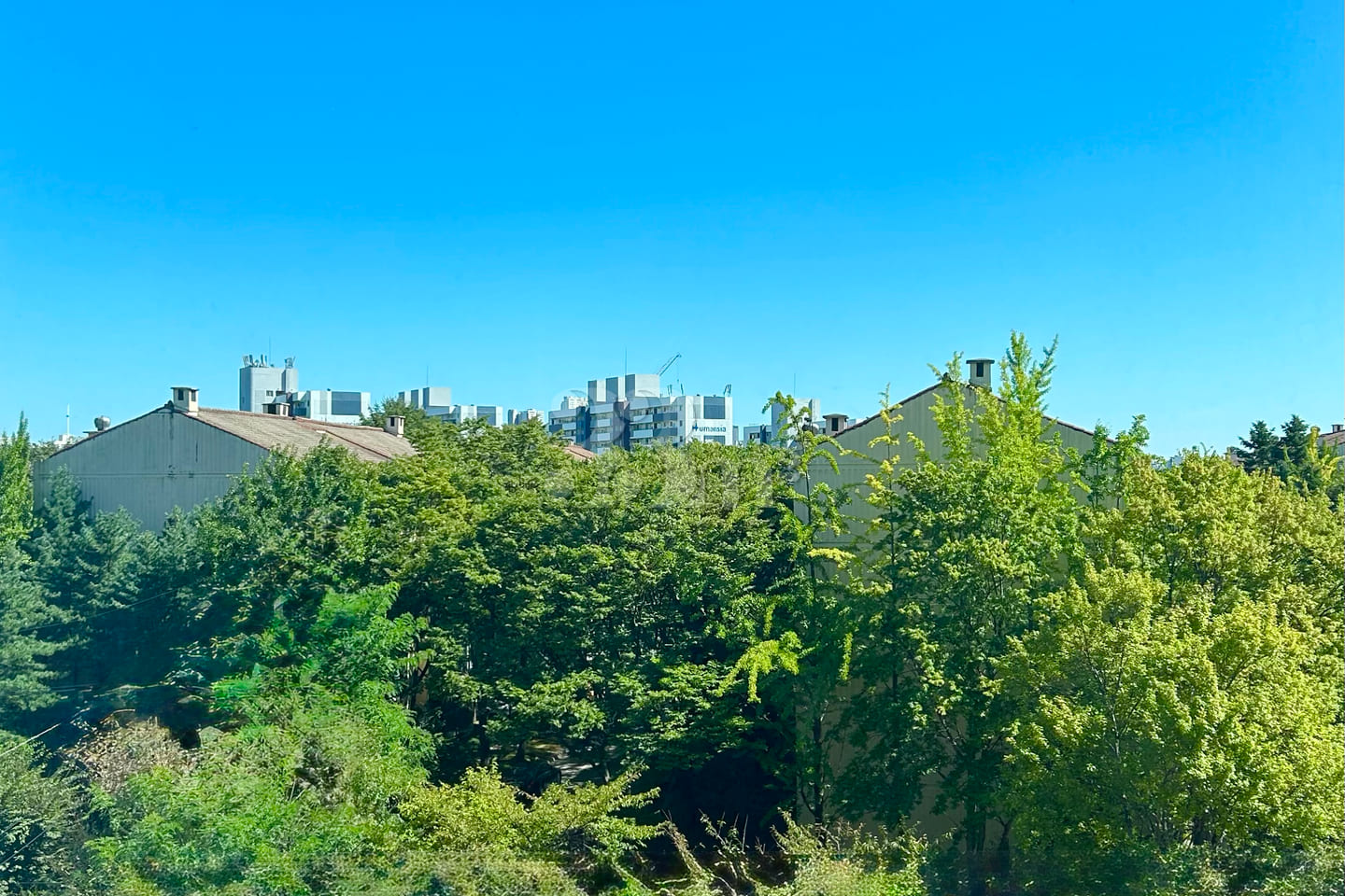 5 minutes to Ajou University ♥ Green view 🌳 18th image