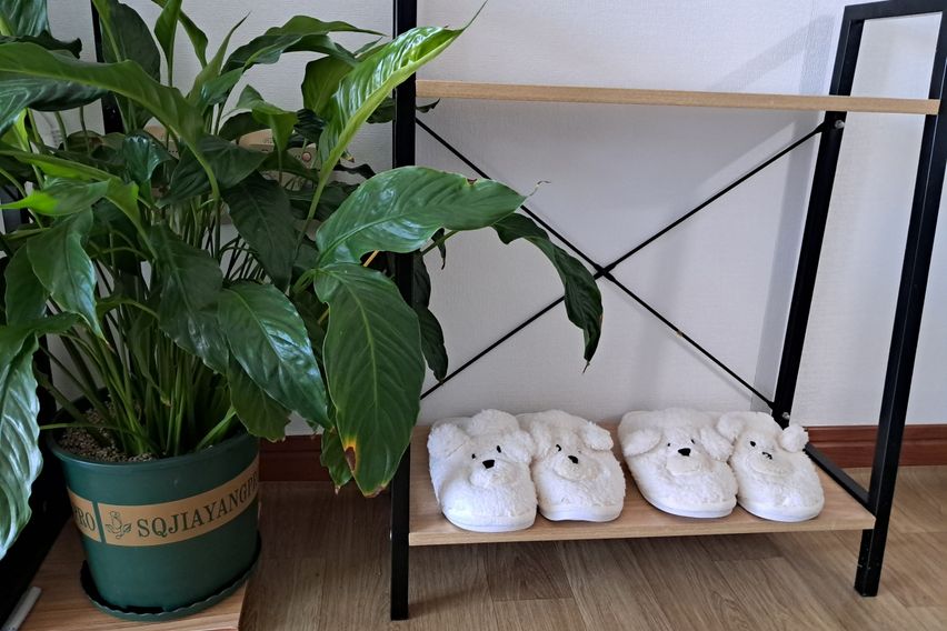 광안리1분 가성비짱 