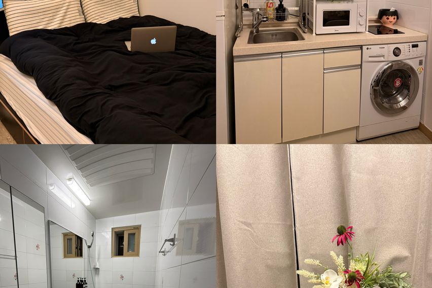 오픈특가♥️건대❇️성수