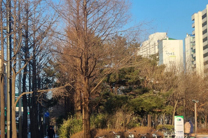 문정/개롱 2룸 아파트 18번째 이미지
