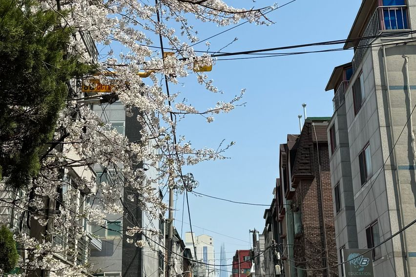 강남 대치동💎패밀리룸