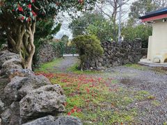 Detached house with a garden in Seogwipo 17th image