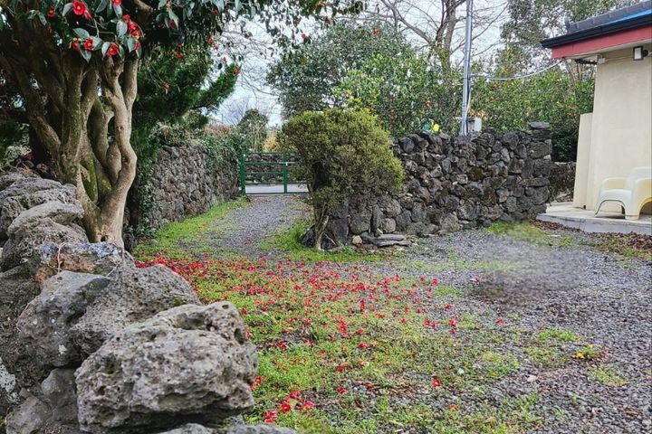 Detached house with a garden in Seogwipo 17th image