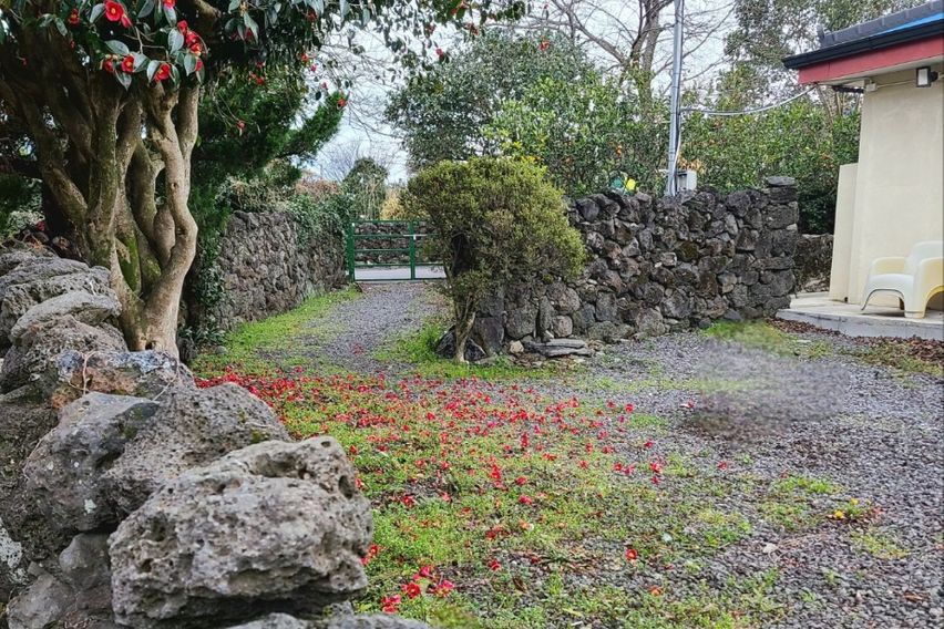 서귀포 텃밭 단독주택 
