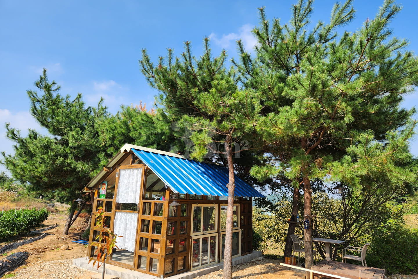 A room with a pretty garden in the forest. 4th image
