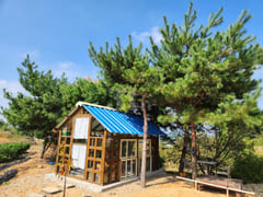 A room with a pretty garden in the forest. 4th image