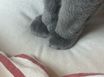 250909 앱스터디 3번째 이미지