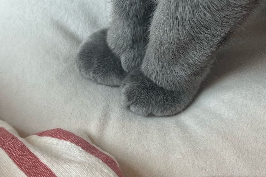 250909 앱스터디 3번째 이미지