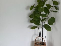 행궁동 성곽이 한눈에! 9번째 이미지