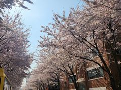 홍대,당산,서교동 투룸 14번째 이미지