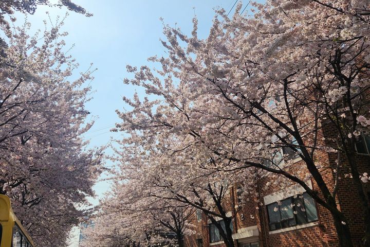 홍대,당산,서교동 투룸 14번째 이미지