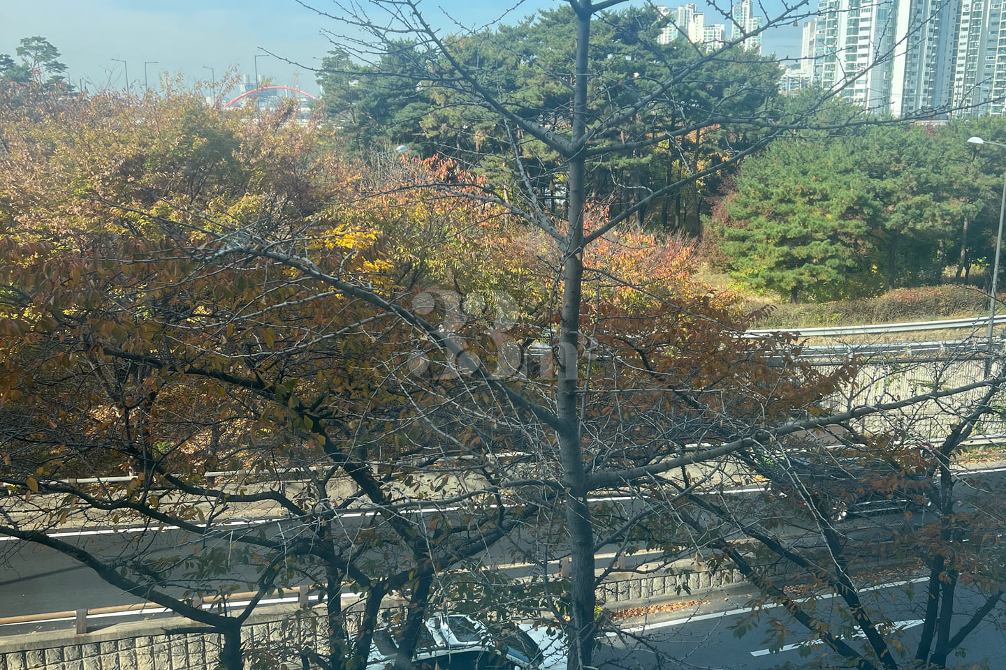 Next to the Han River / Clean room / Parking  11th image