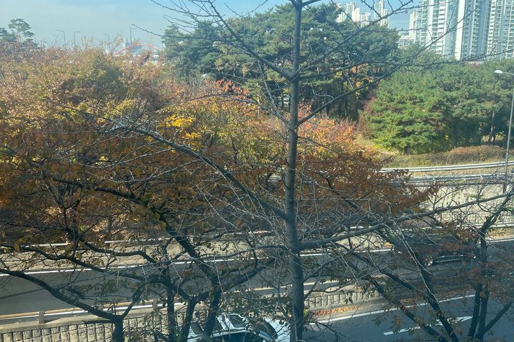 한강옆/깨끗한방/주차장 11번째 이미지