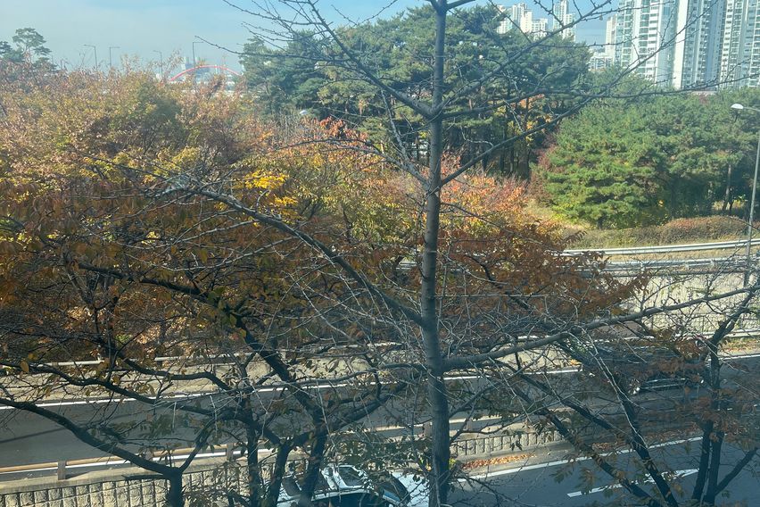 마포역/한강/주차무료