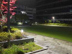 특가🌿딥그린 하우스 11번째 이미지