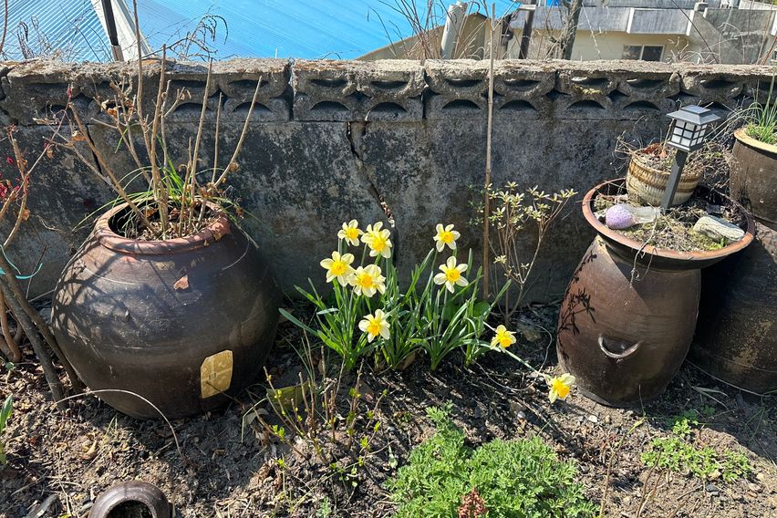 아침햇살 자연가득 하동