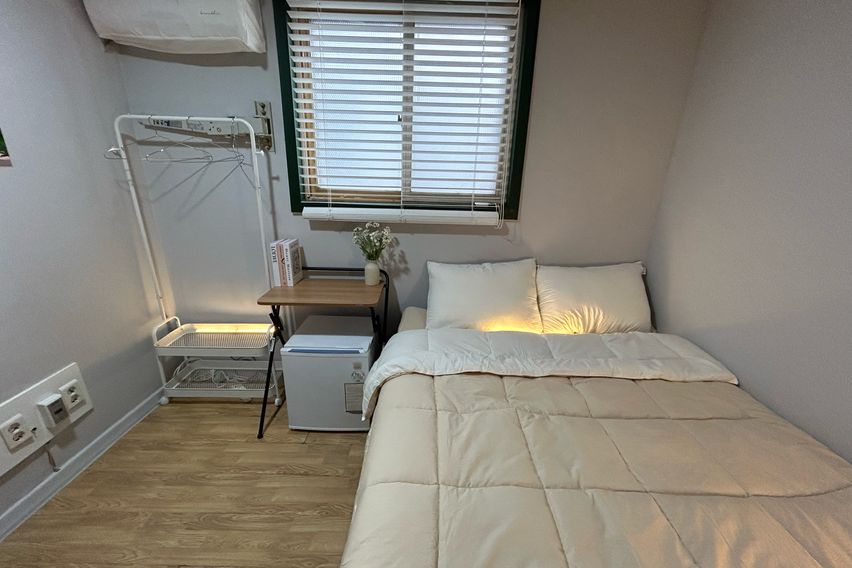 오드 스탠다드 305 3번째 이미지