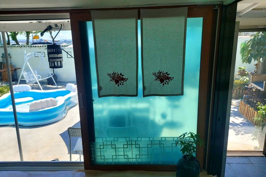 포항 홍시네 앞마당