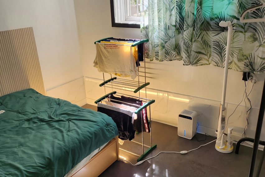 포레스트 in 임학 18번째 이미지