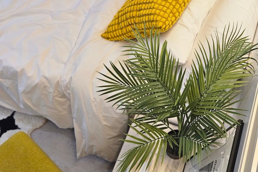 스테이인 202 3번째 이미지