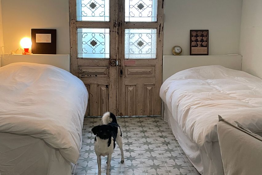 슬리피선데이-독채반려동 7번째 이미지