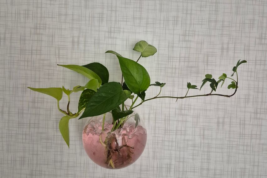 충북대 도보 6분아파트