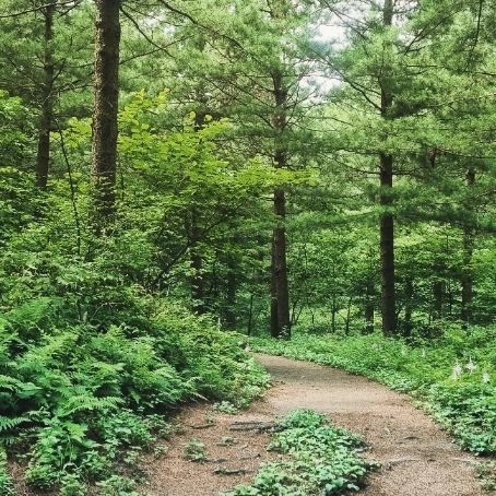 Haneulhyanggi Pension F 6th image