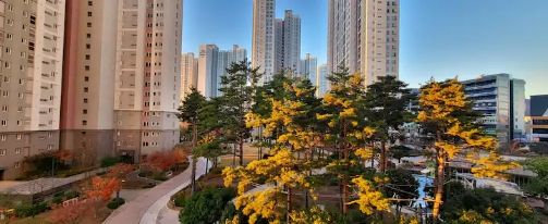 파인브리즈 9번째 이미지