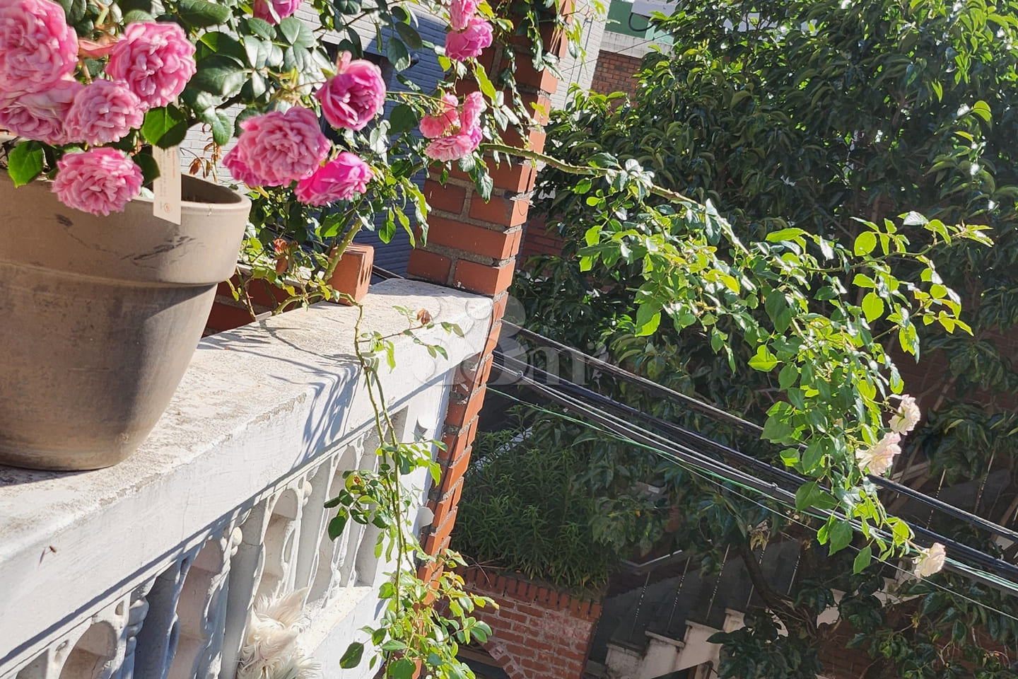 Haebangchon detached house – women only 8th image