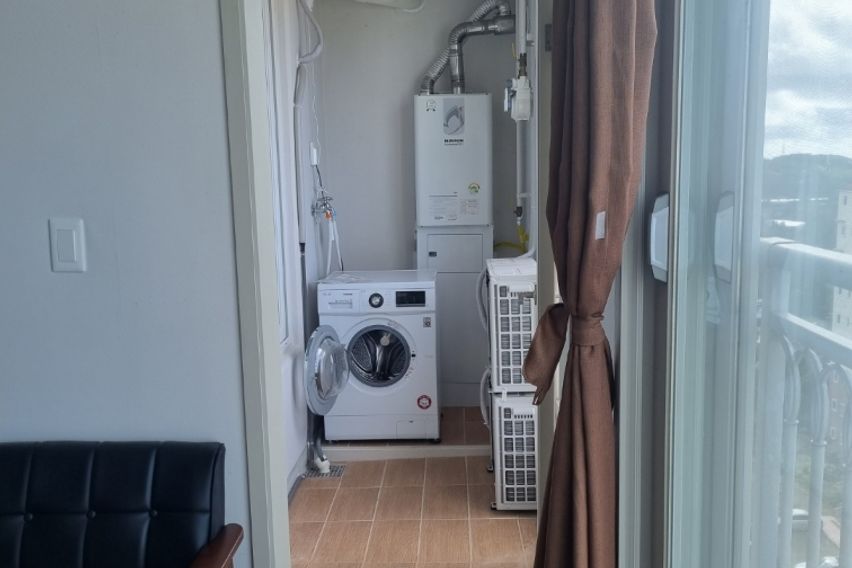 🌈 서귀포17평 애견