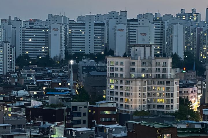 🎯성수서울숲뚝섬반려견 9번째 이미지