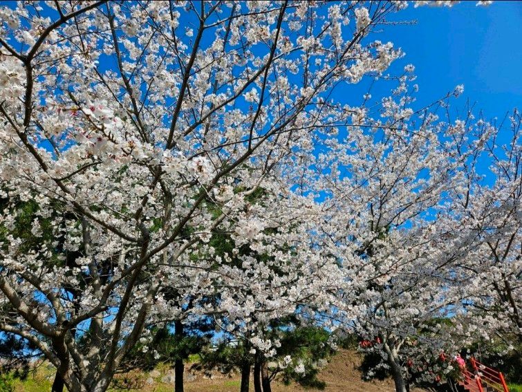 [중문]산책&조용한숙소 17번째 이미지