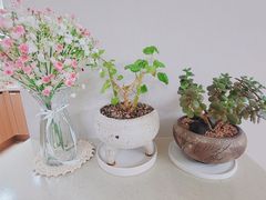 리조트같은 신축오션뷰 18번째 이미지