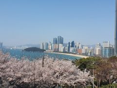 부산 해운대 패밀리 15번째 이미지
