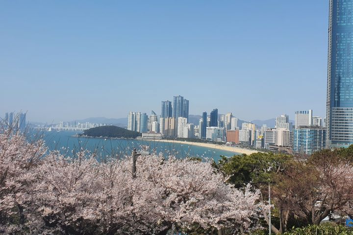 부산 해운대 패밀리 15번째 이미지