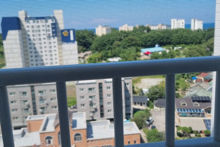 사천진해변 도보가능 9번째 이미지