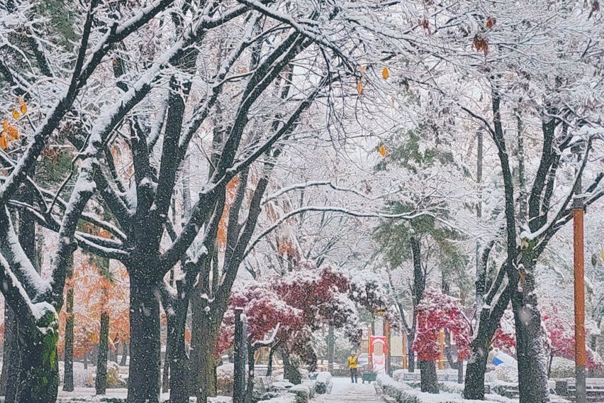대청역/삼성병원/대치 16번째 이미지