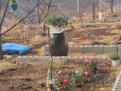 40평독채애견동반촌캉스 16번째 이미지