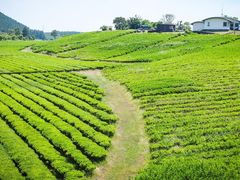 아담한 2룸형 독채-A 17번째 이미지