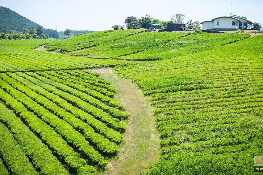 아담한 2룸형 독채-A