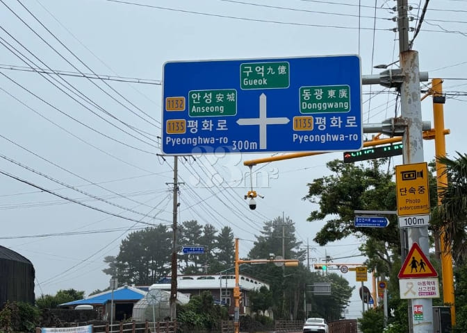 한라산방 9번째 이미지
