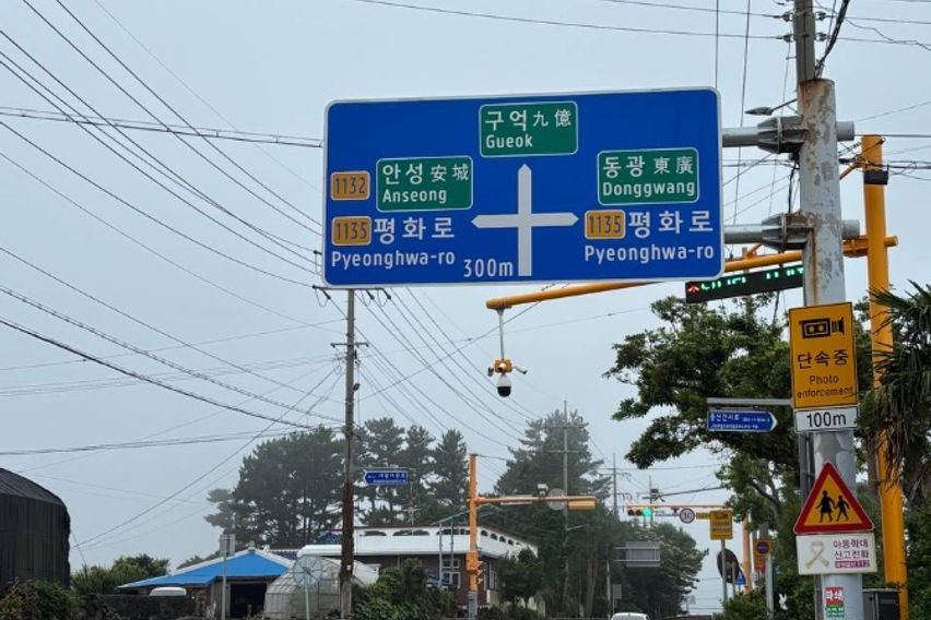 한라산방 9번째 이미지