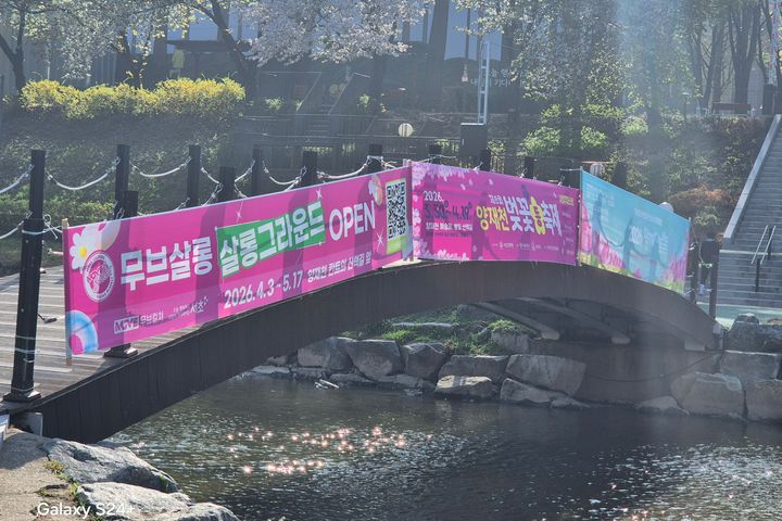 벚꽃양재카페공원 바로앞 15번째 이미지