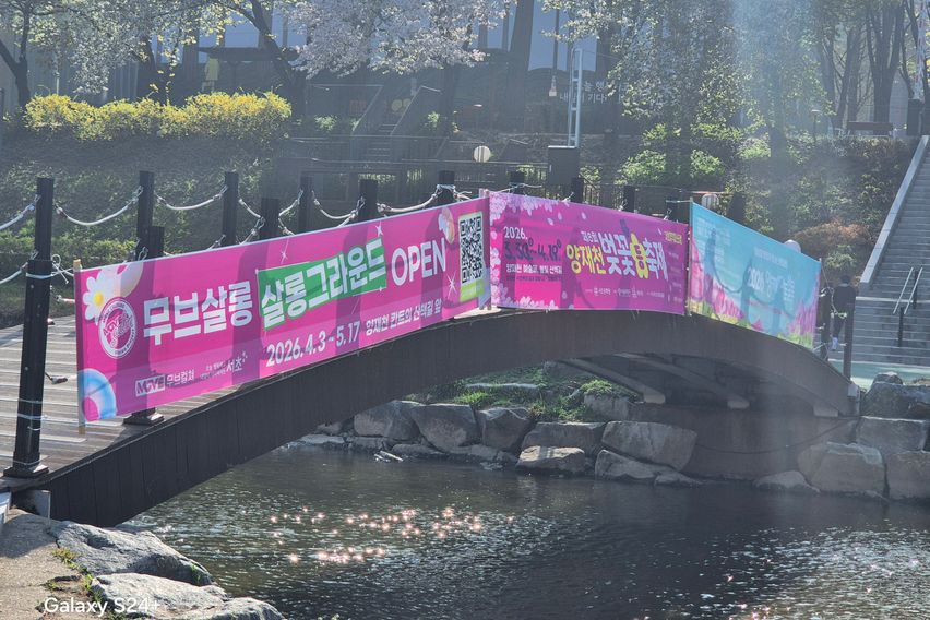 벚꽃양재카페공원 바로앞 15번째 이미지