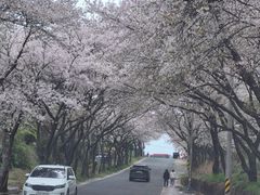 Short-term Rentals in Sacheon City 18th image