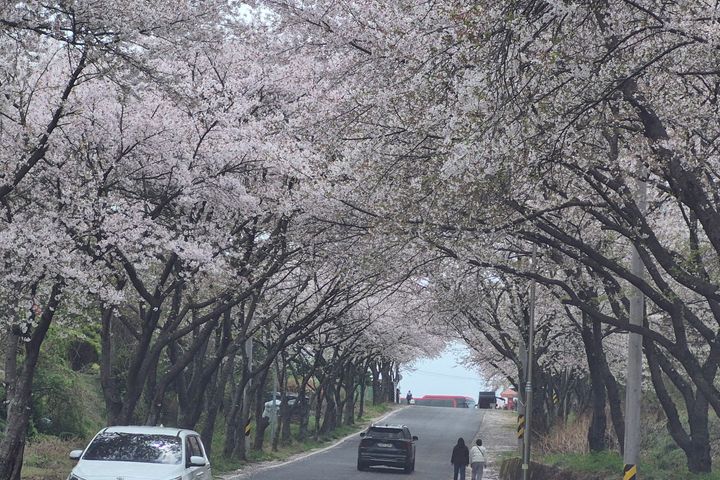 Short-term Rentals in Sacheon City 18th image