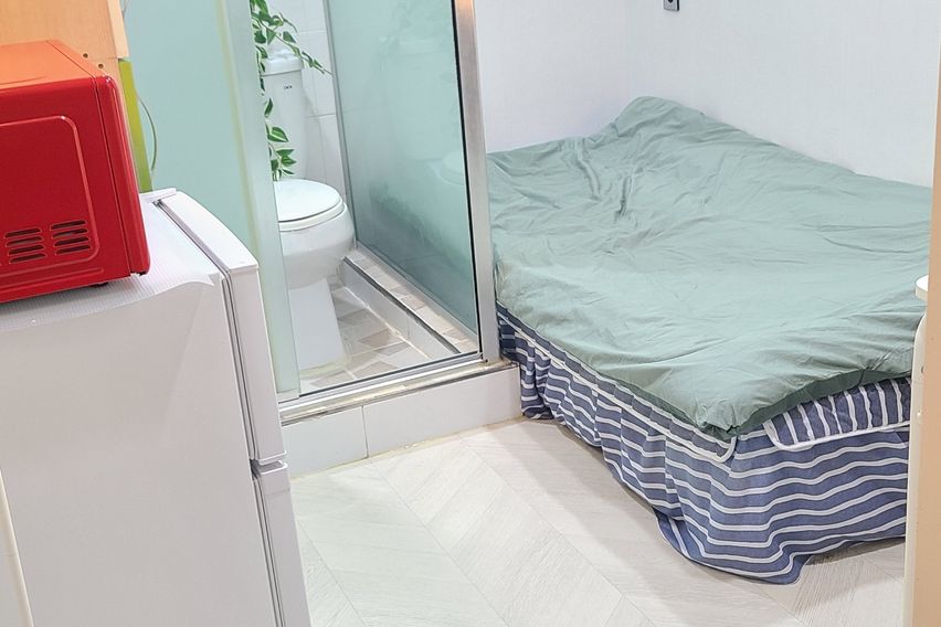 227스테이-스탠다드