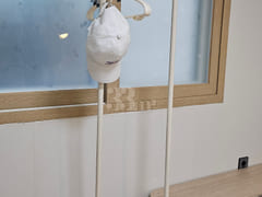 Best studio apartment in Bonggok-dong with to 13th image
